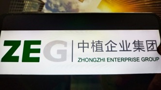 中植集团原董事局主席高某某等人非法吸收公 - 百博资讯